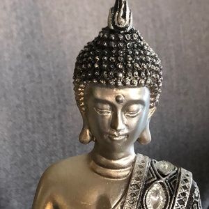 Meet your Posher, Jahnavi